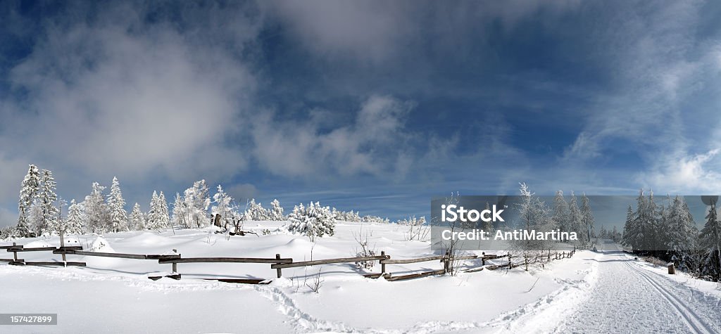 크로스컨트리 스키 - 로열티 프리 0명 스톡 사진