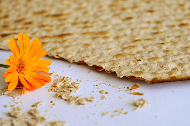matzoh с цветком - passover matzo judaism broken стоковые фото и изображения