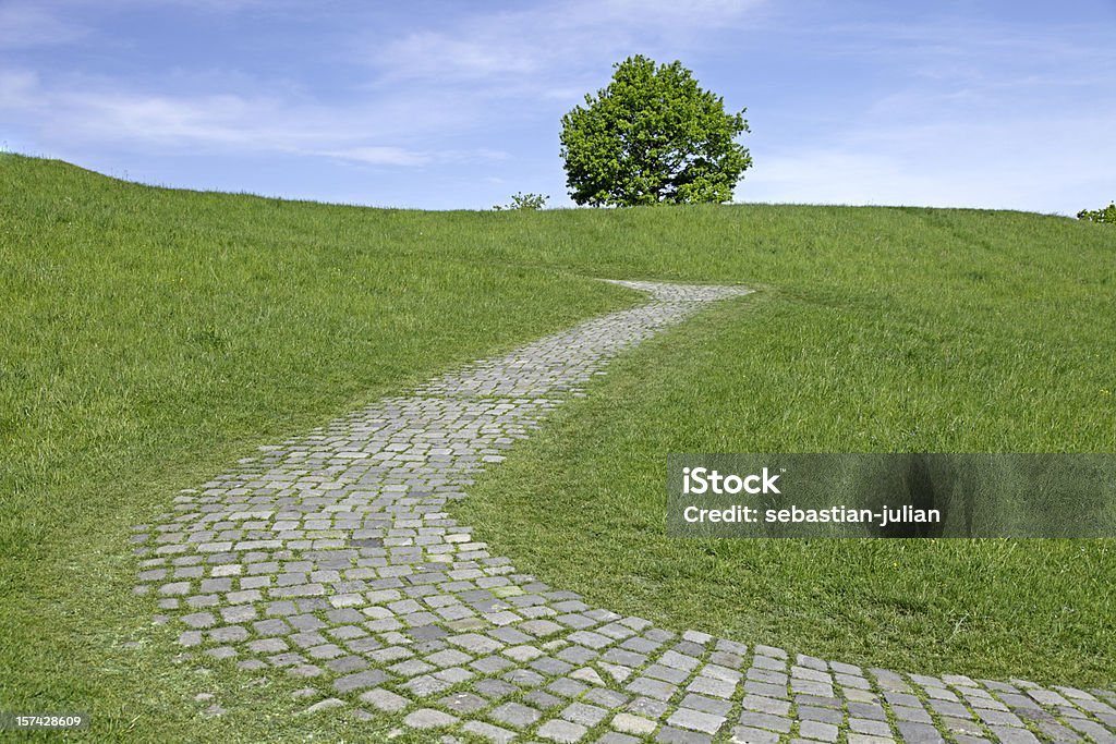 Gepflasterte Stein Weg mit einsame Baum auf einem slope - Lizenzfrei Weg Stock-Foto