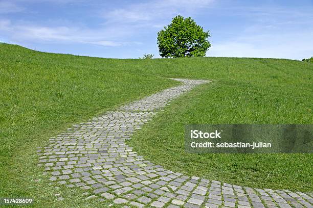 Gepflasterte Stein Weg Mit Einsame Baum Auf Einem Slope Stockfoto und mehr Bilder von Weg