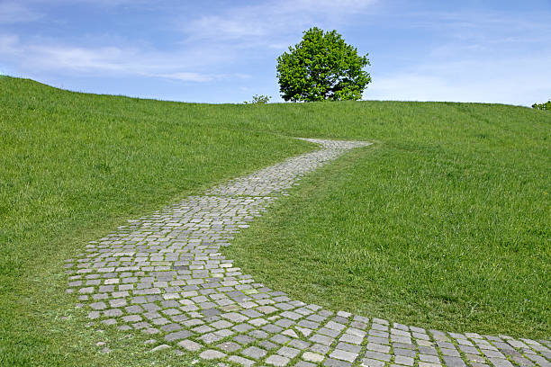 cobbled stone path with lonely tree on a slope stock photo