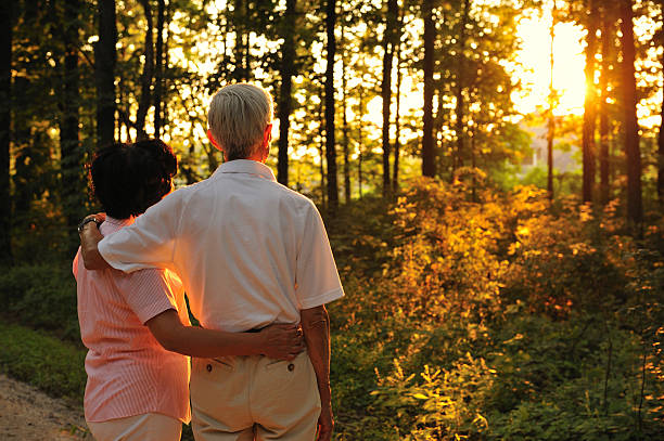 istock Senior Couple Looking at Sunset 157428917
