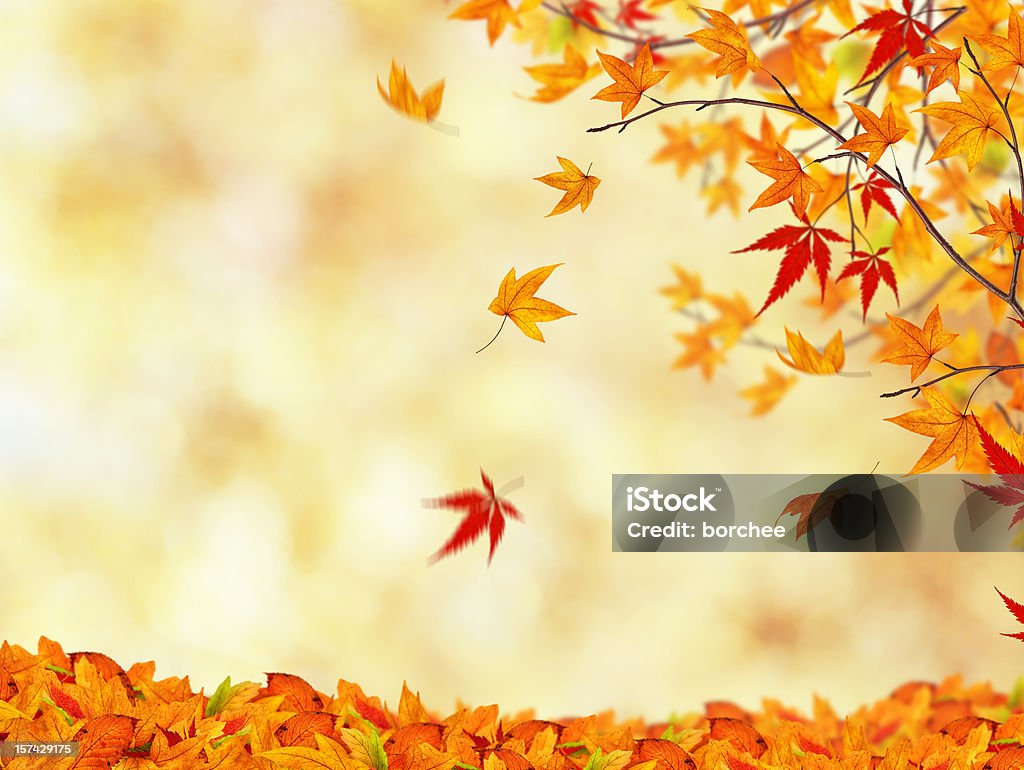 Осенний Красота - Стоковые фото Осень роялти-фри