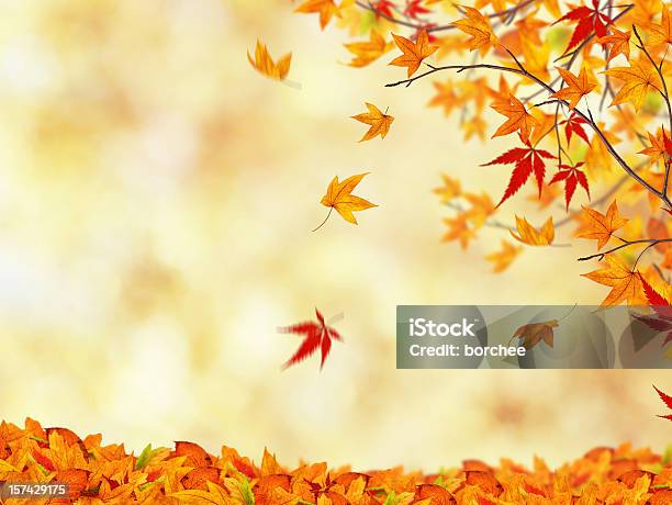 Осенний Красота — стоковые фотографии и другие картинки Осень - Осень, Фоновые изображения, Падать
