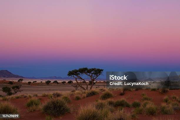 Blaue Stunde Stockfoto und mehr Bilder von Naturreservat Namib Rand - Naturreservat Namib Rand, Afrika, Abenddämmerung
