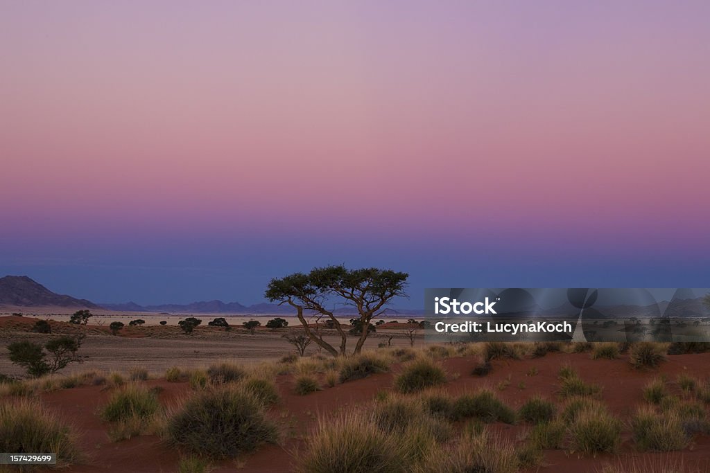 Blaue Stunde - Royalty-free Reserva Natural de Namib Rand Foto de stock