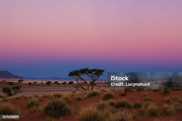 Blaue Stunde - Fotografias de stock e mais imagens de Reserva Natural de Namib Rand - Reserva Natural de Namib Rand, África, Anoitecer