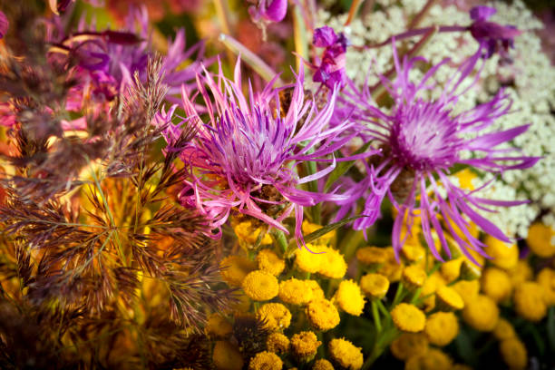 Mix of summer flowers. Nice bouquet 