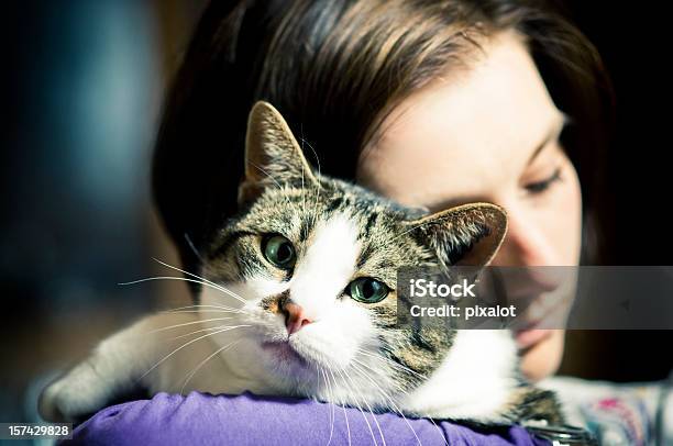 Photo libre de droit de Lamitié banque d'images et plus d'images libres de droit de Chat domestique - Chat domestique, Consoler et se consoler, Adulte