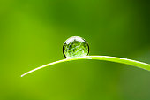 waterdrop-wasser-tropfen-blatt-umweltschutz-gleichgewicht-gr%C3%BCn-natur.jpg?b=1&s=170x170&k=20&c=kXXCxR8mzIQ-09ZwJO72GKtYIhZAfSY3zekJbffIXL0=