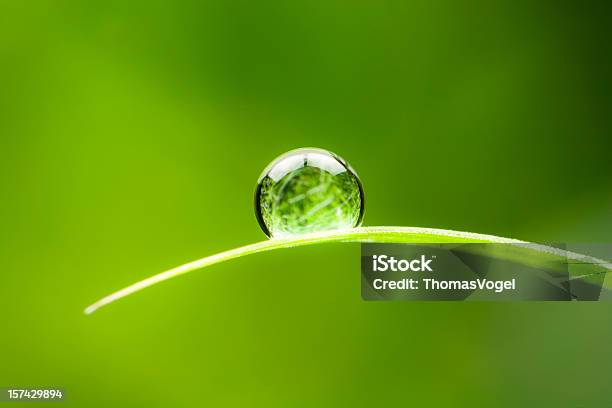 Waterdrop Wasser Tropfen Blatt Umweltschutz Gleichgewicht Grün Natur Stockfoto und mehr Bilder von Tropfen