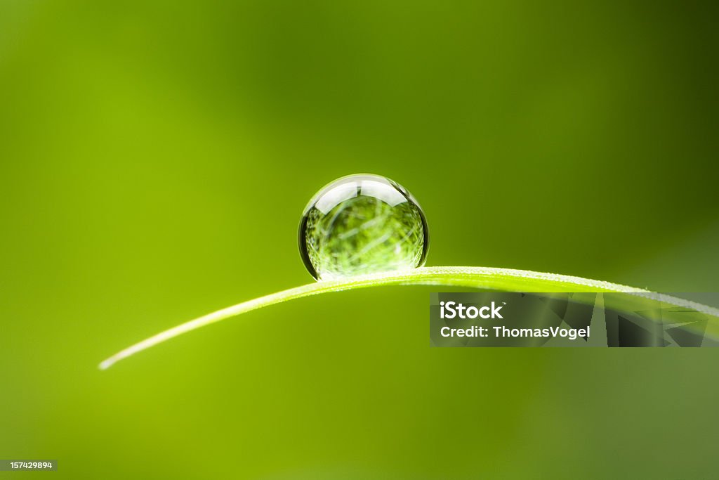 Waterdrop.  Water Drop Leaf Environmental Conservation Balance Green Nature  Drop Stock Photo