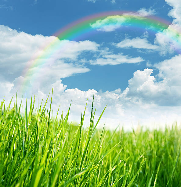 arco iris sobre meadow - clear sky nobody blade of grass summer fotografías e imágenes de stock