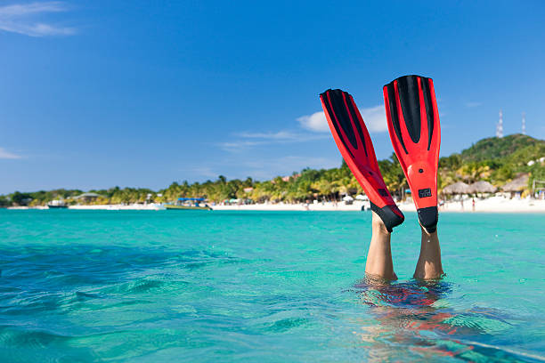 estilo de vida de vacaciones-snorkeler buceo en el mar - aleta equipo de buceo fotografías e imágenes de stock