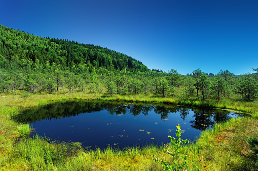 Small lake in the mountains - Mohos peat bog, Transylvania, Romania. 