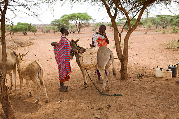 istock Two masai women loading donkey with water cans 157431345