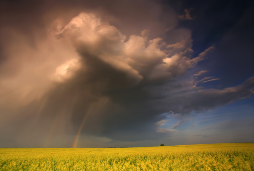 A beautiful shot of a rainbow over a farmland in Queensland, Australia