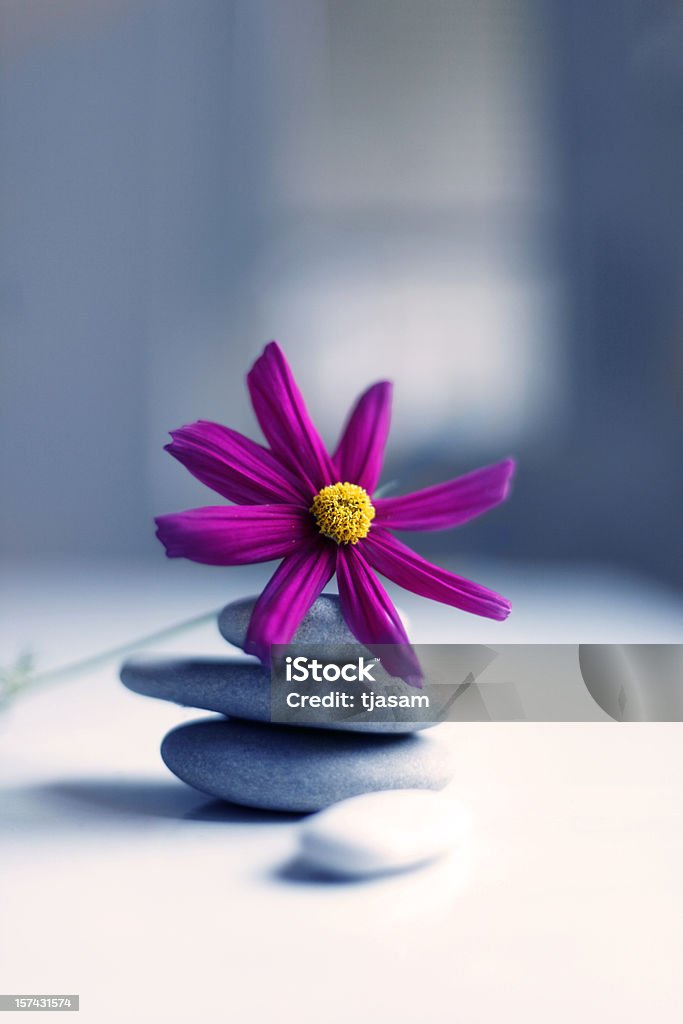 Fiorito Zen - Foto stock royalty-free di Composizione verticale
