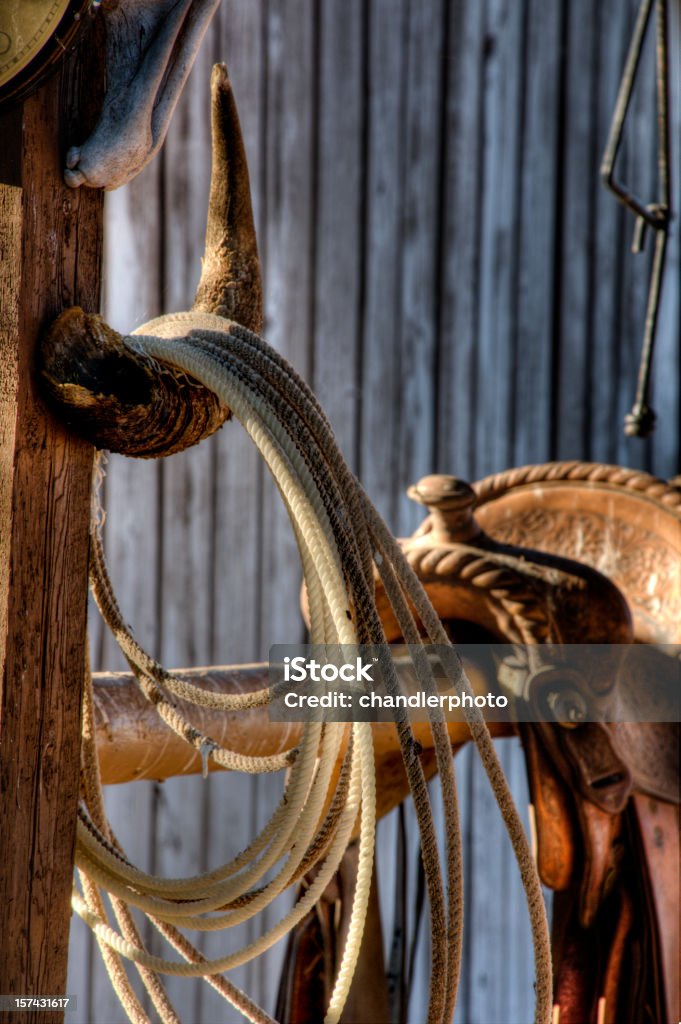 Saddle mit Seil - Lizenzfrei Lasso Stock-Foto