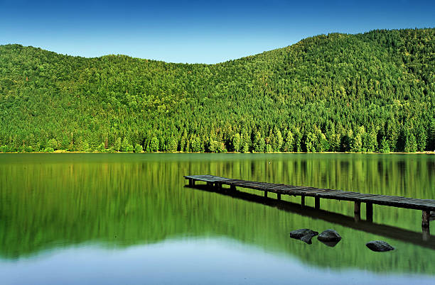 istock jetty in the mountain lake 157431694