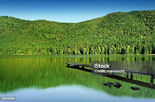 Foto de Cais No Lago De Montanha e mais fotos de stock de Azul - Azul, Beleza natural - Natureza, Bosque - Floresta