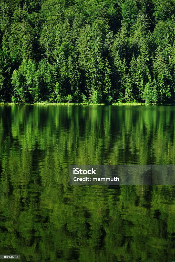 Lago de Montanha - Royalty-free Ao Ar Livre Foto de stock