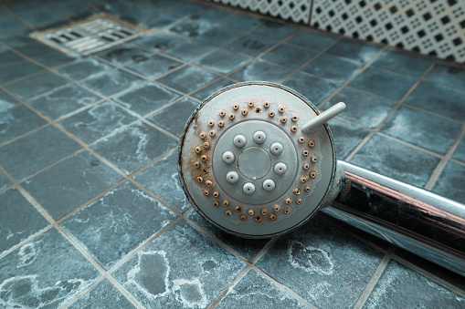 Silver shower head with limescales that should be cleaned and mold on tiles. Calcified shower due to hard water. Calcium mineral buildup.