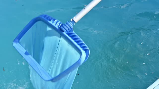 Someone using a pool skimmer for removing fallen leaves and debris floating on the surface of the pool.
