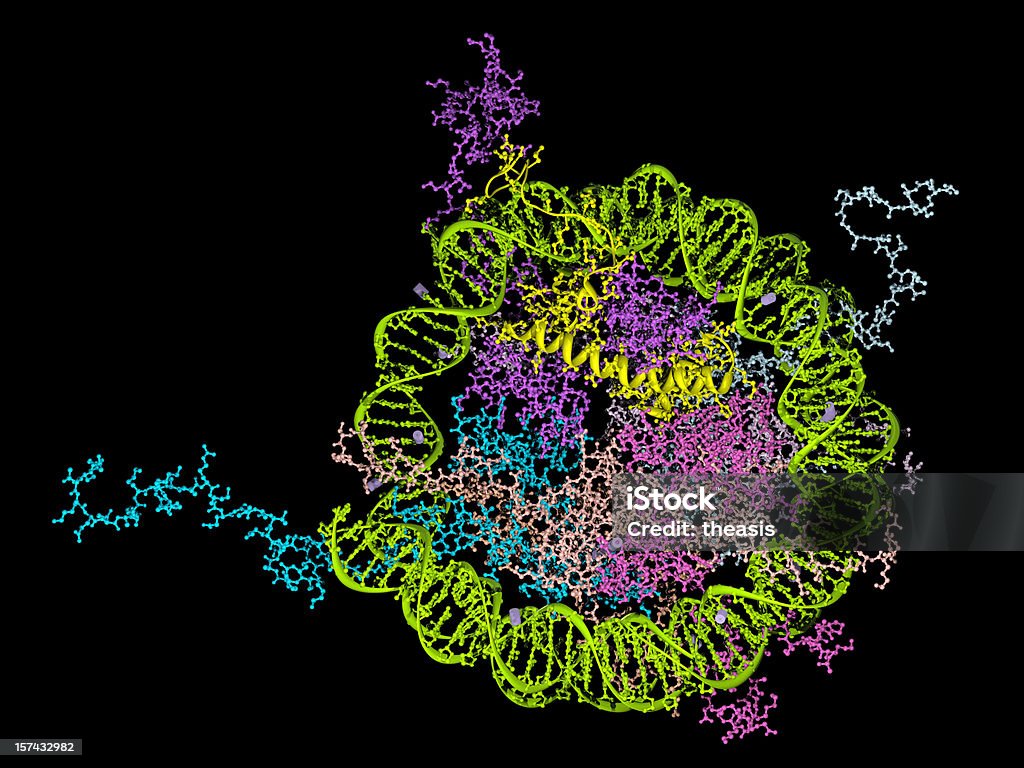 Nucleosome modelo - Foto de stock de Proteína royalty-free