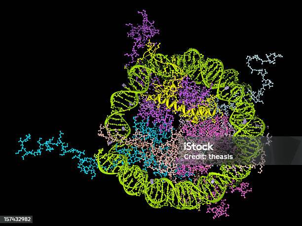 Foto de Nucleosome Modelo e mais fotos de stock de Proteína - Proteína, DNA, Hélice - Formas Geométricas