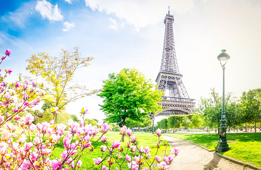 Paris Eiffel Tower with park pathway in Paris at spring, France. Eiffel Tower is one of the most iconic landmarks of Paris.