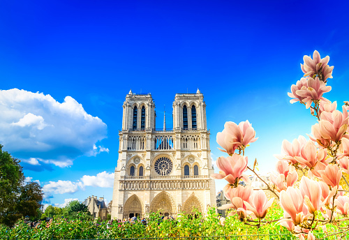 facade of Notre Dame cathedral church with spring flowers, Paris, France at summer day