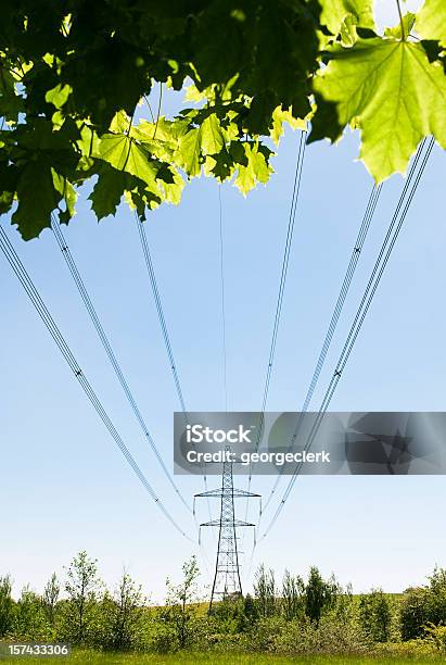 Grüne Energiekonzept Stockfoto und mehr Bilder von Grünes Wirtschaften - Grünes Wirtschaften, Technologie, Baum