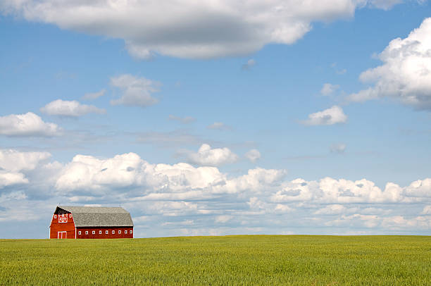 istock Red barn portrait on open field 157433390