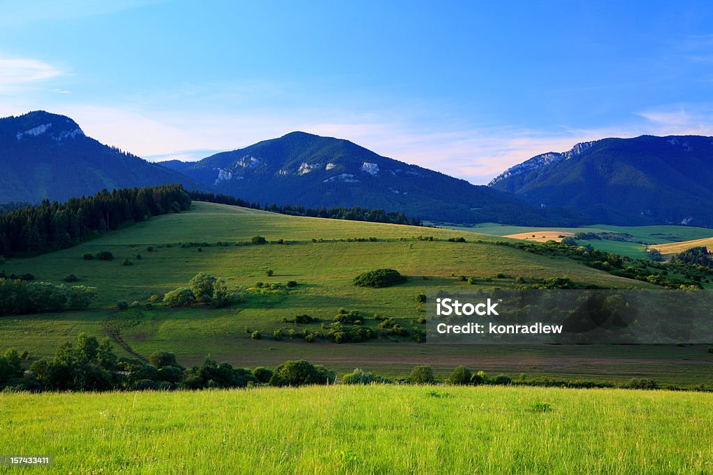 Paisagem de montanha - Foto de stock de Agricultura royalty-free