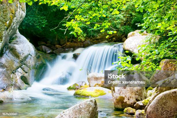 Photo libre de droit de Cascade Dété banque d'images et plus d'images libres de droit de Bois - Bois, Cascade, Eau