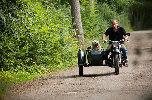 Man and his dog  sidecar stock pictures, royalty-free photos & images