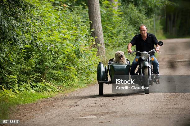 Man And His Dog Stock Photo - Download Image Now - Motorcycle, Sidecar, Dog