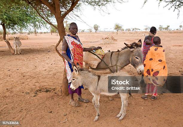 Três Masai Mulheres Carregar Burro Com Latas De Água - Fotografias de stock e mais imagens de 12-13 Anos