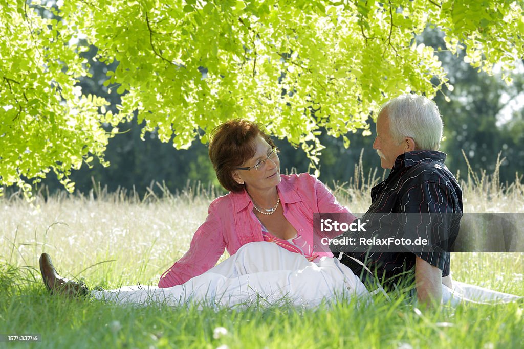 Loving sênior casal sentado na grama com dossel de árvore (XXL - Foto de stock de 60 Anos royalty-free