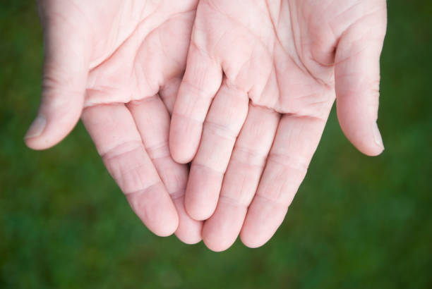istock Female hands, caucasian, palms up, selective focus 157433988