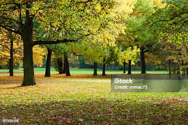 Otoño Park Foto de stock y más banco de imágenes de Adulto - Adulto, Aire libre, Amarillo - Color