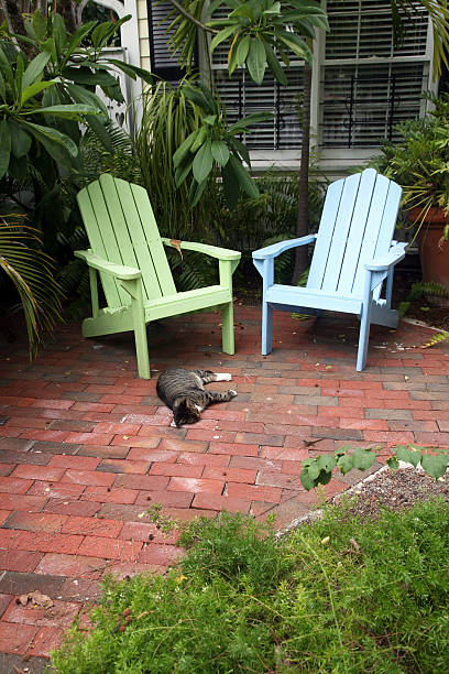 Black cat on the garden terrace