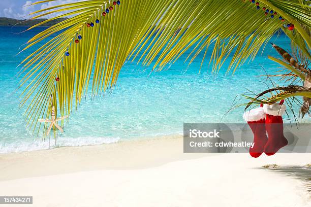 Tropical Christmas In The Caribbean Stock Photo - Download Image Now - Christmas, Beach, Palm Tree