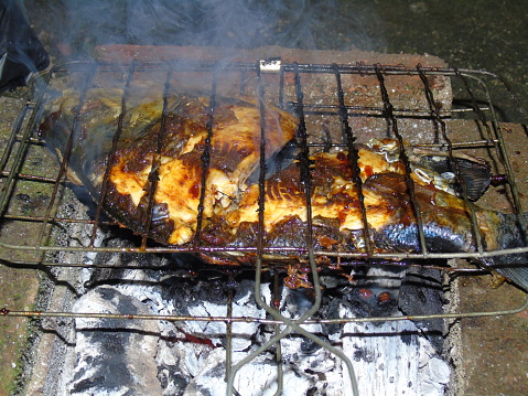 Fish being grilled over coals. This picture was taken from Central Java, Indonesia