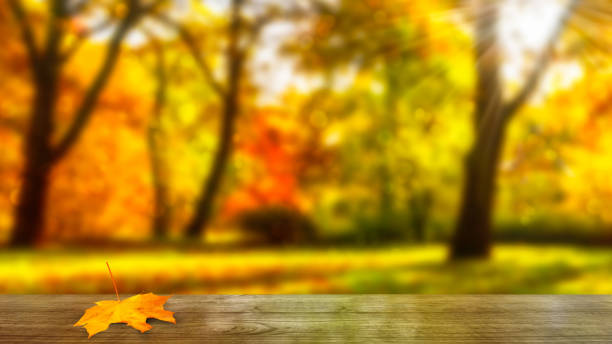 istock sunlight in an idyllic blurred autumn park with empty wooden table in foreground, colorful october nature scene concept with product display for advertising 1574344395