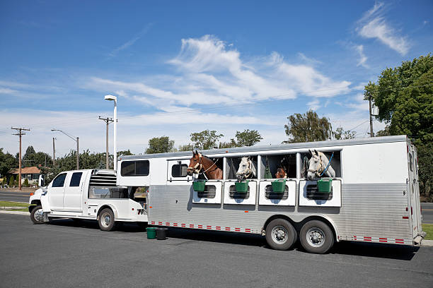 a truck with a travel trailer attached
