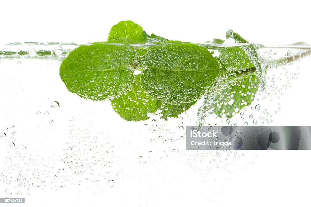 Fresh mint in water Fresh sprig of mint in water with bubbles Mint Leaf - Culinary Stock Photo