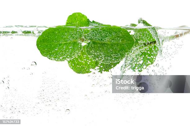 Fresh Mint In Water Stock Photo - Download Image Now - Mint Leaf - Culinary, Water, Leaf