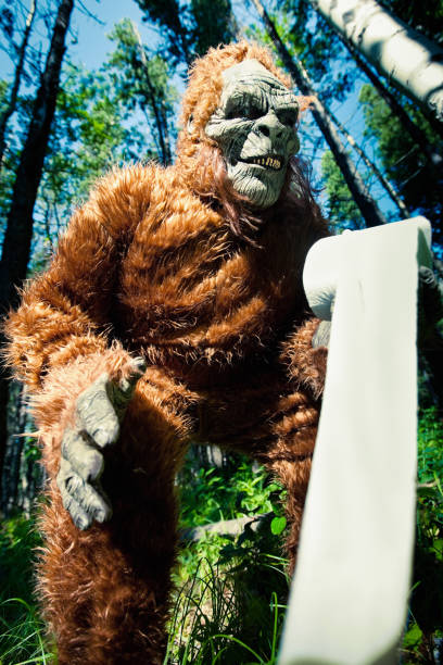 istock Bigfoot in the Forest 157434898